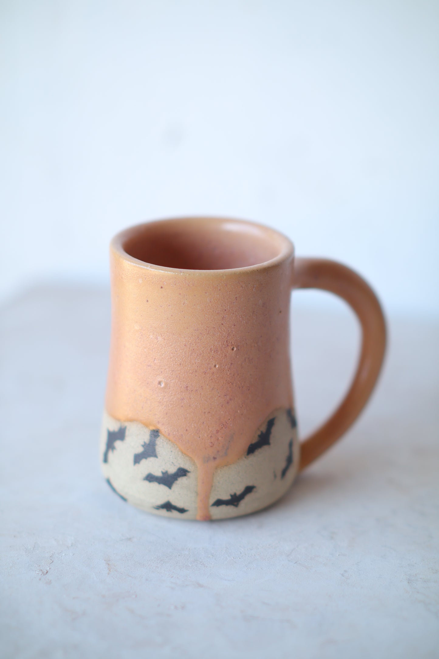 Bats Transfer Mug