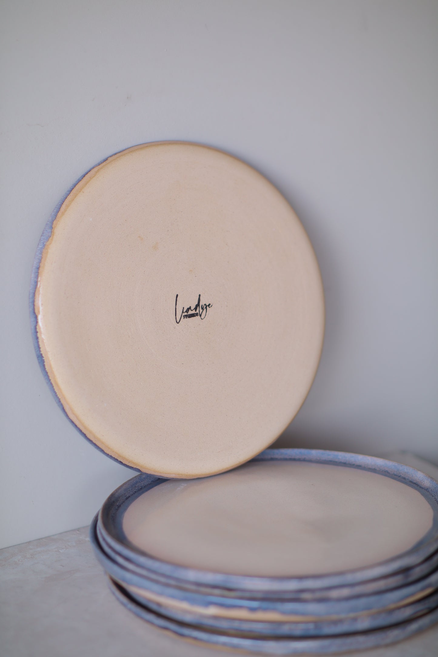 Blue Rim Plates (Set of 6)