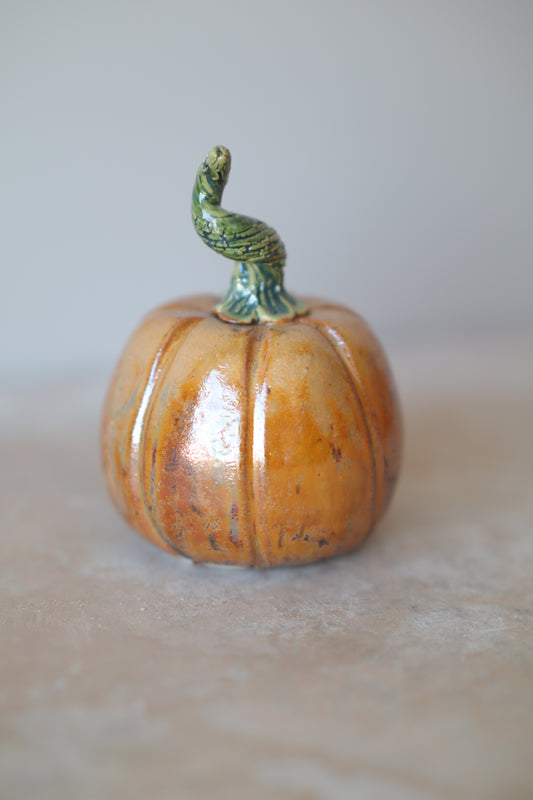 Mini Pumpkin