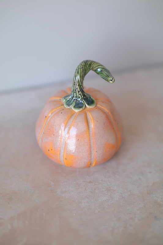 Mini Pumpkin
