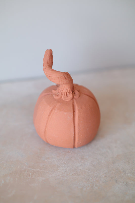 Mini Pumpkin