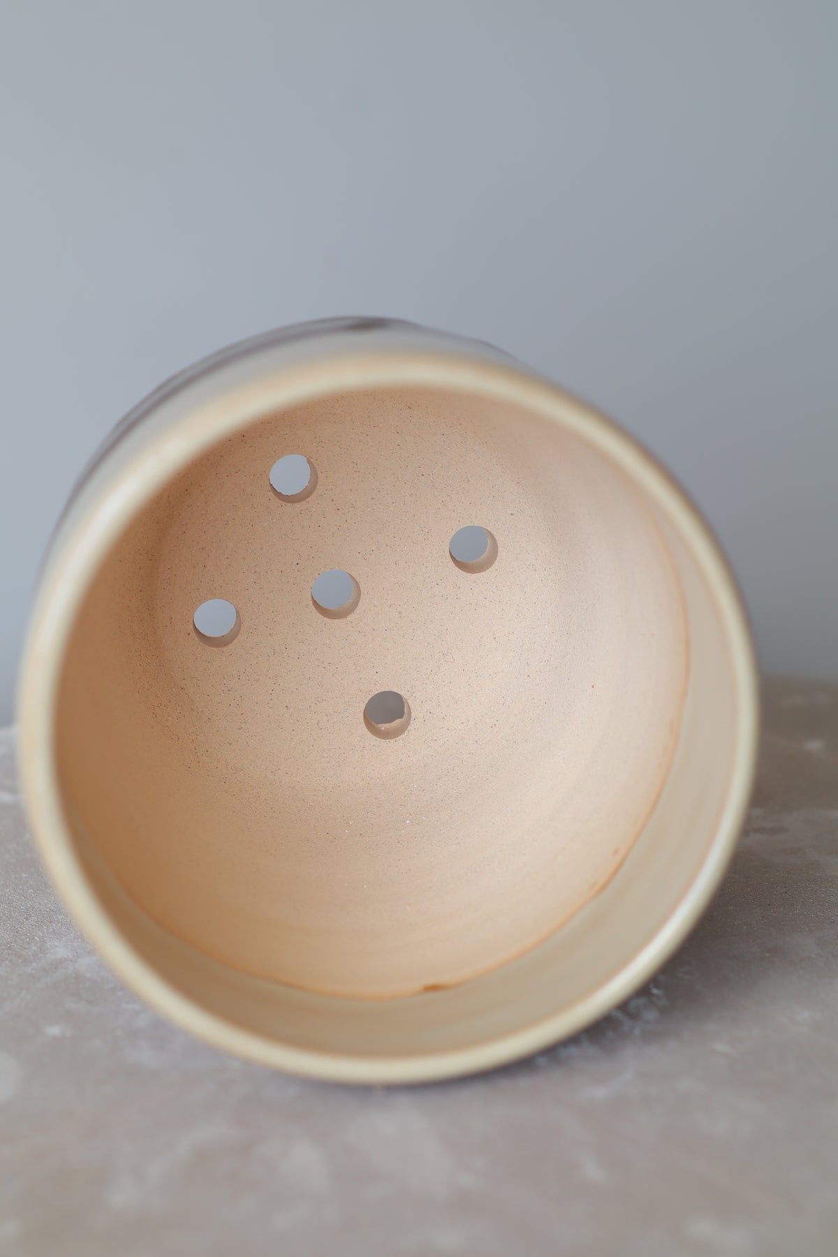 Plant Pot