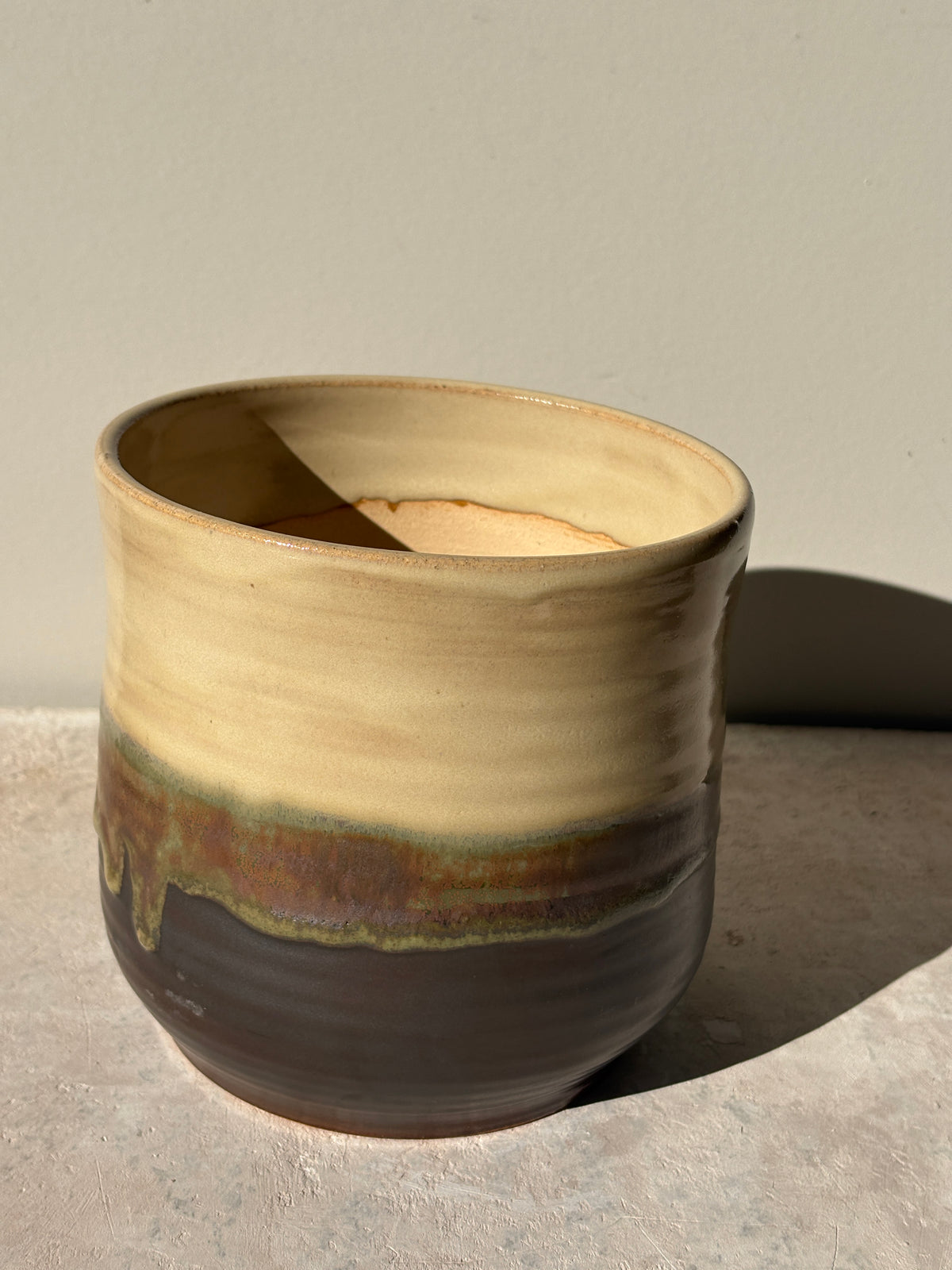 Plant Pot