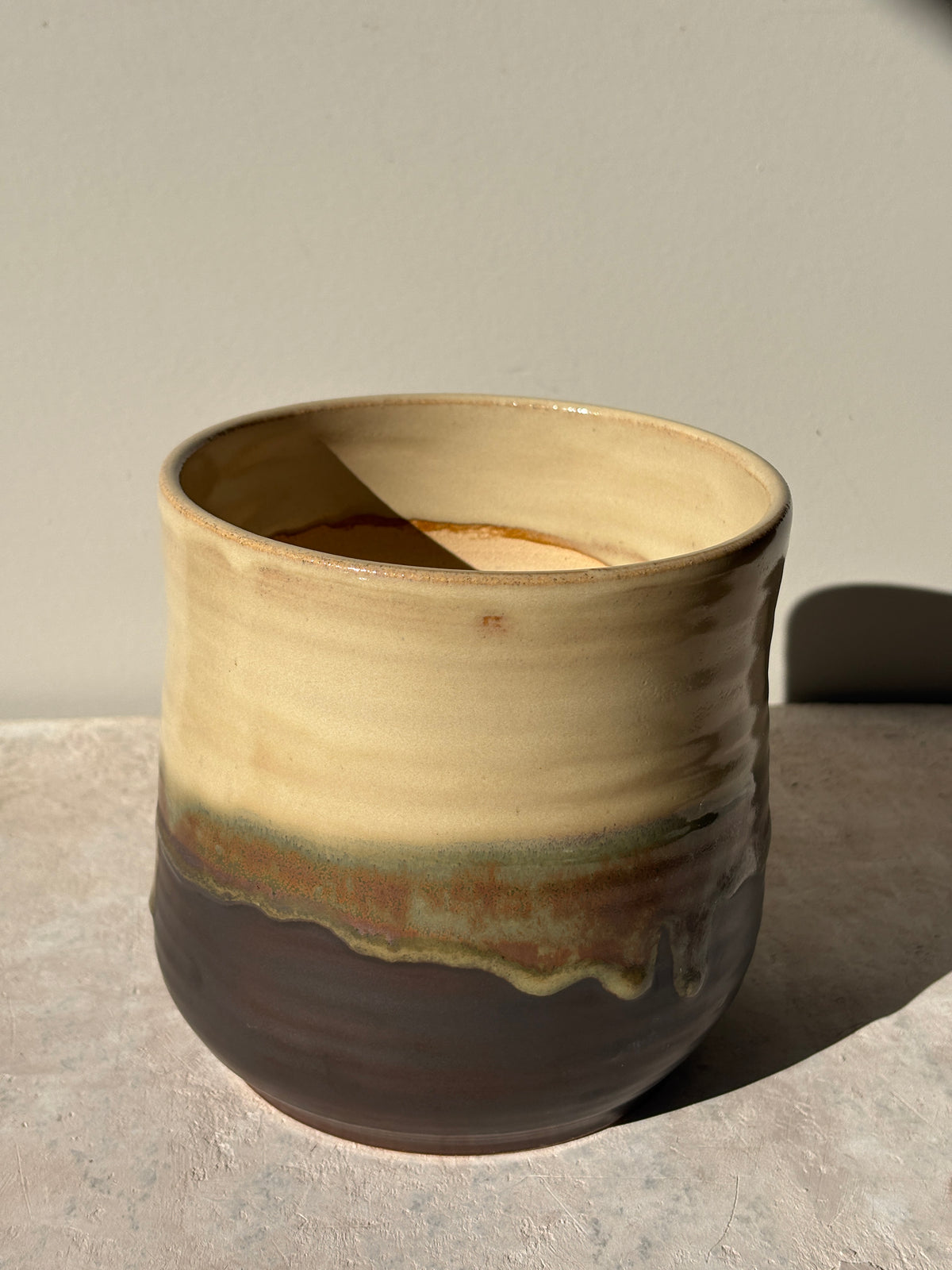 Plant Pot