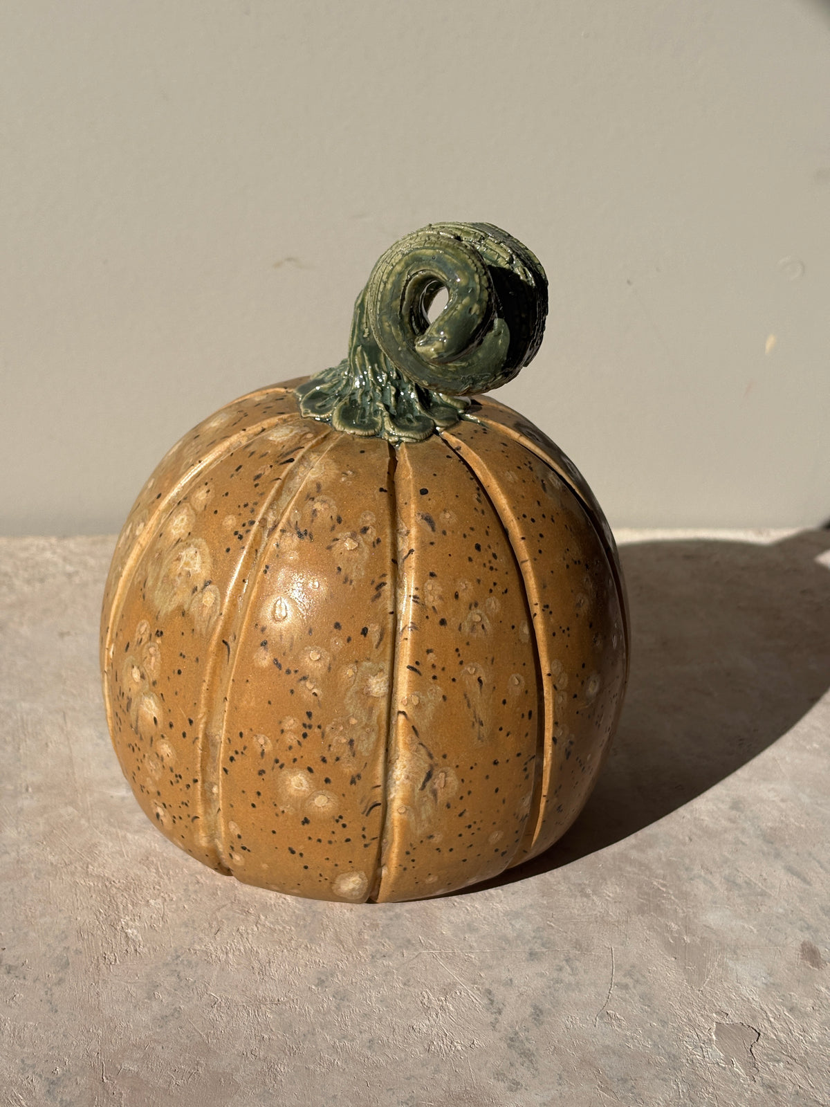 Pumpkin
