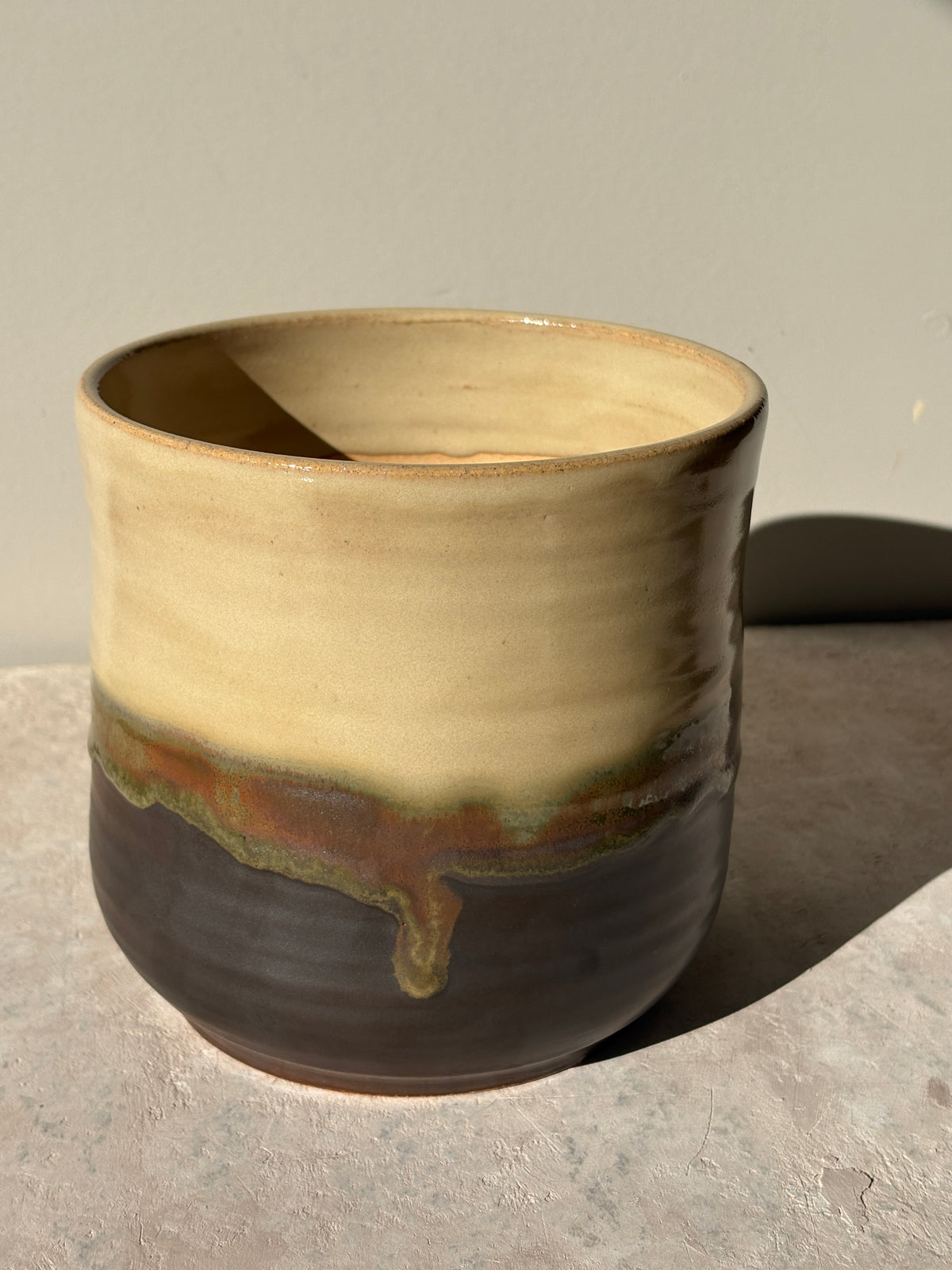 Plant Pot