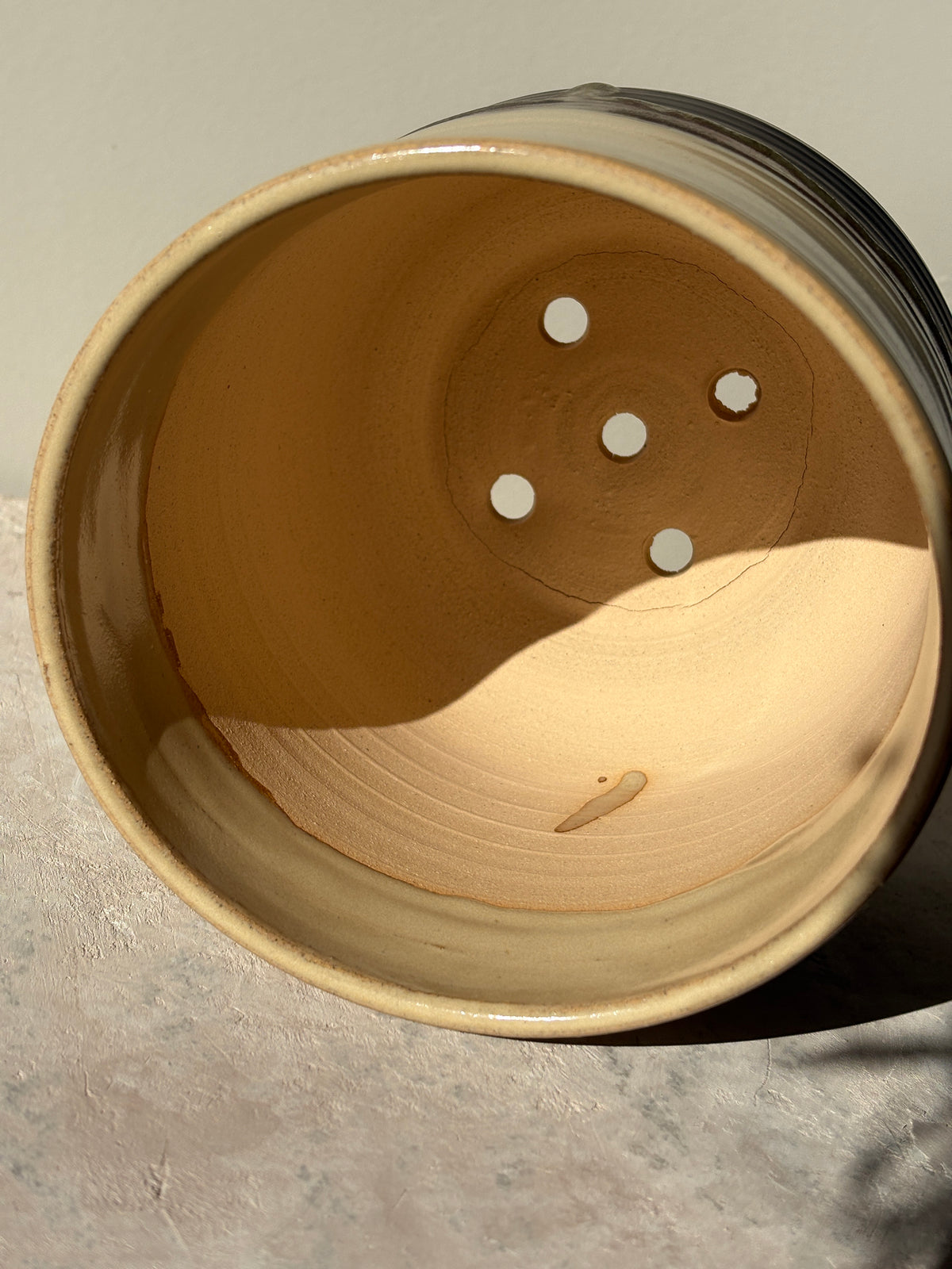 Plant Pot
