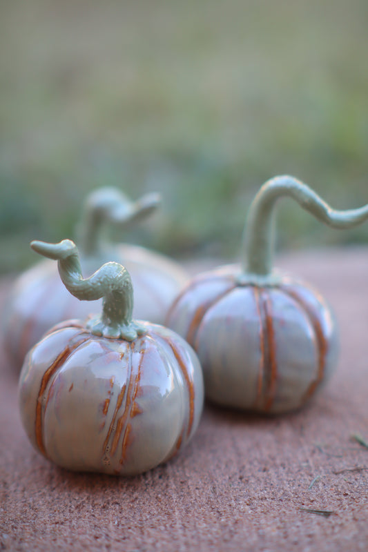 Soft Sage Mini Pumpkin