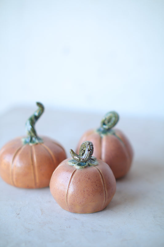 Wheat Mini Pumpkin