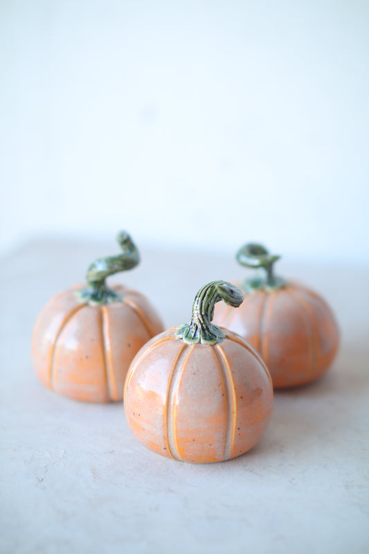 Mini Pumpkin