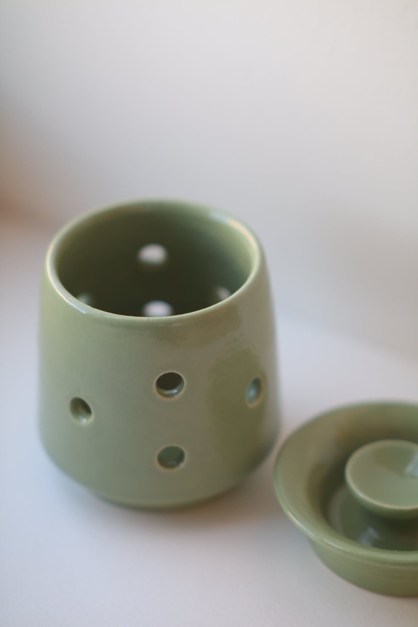Sage Garlic Keeper