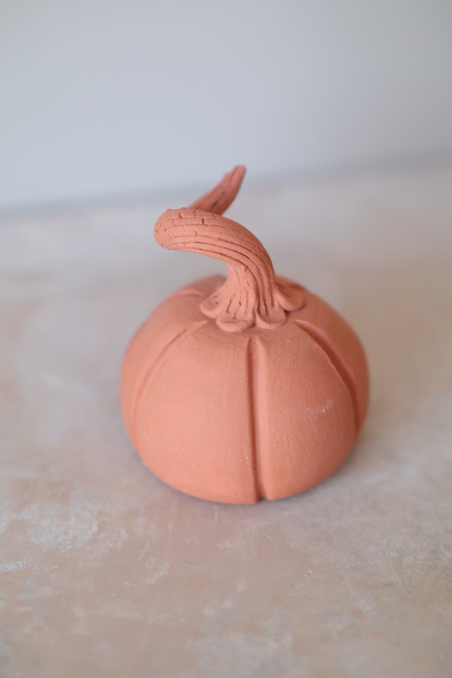 Mini Pumpkin
