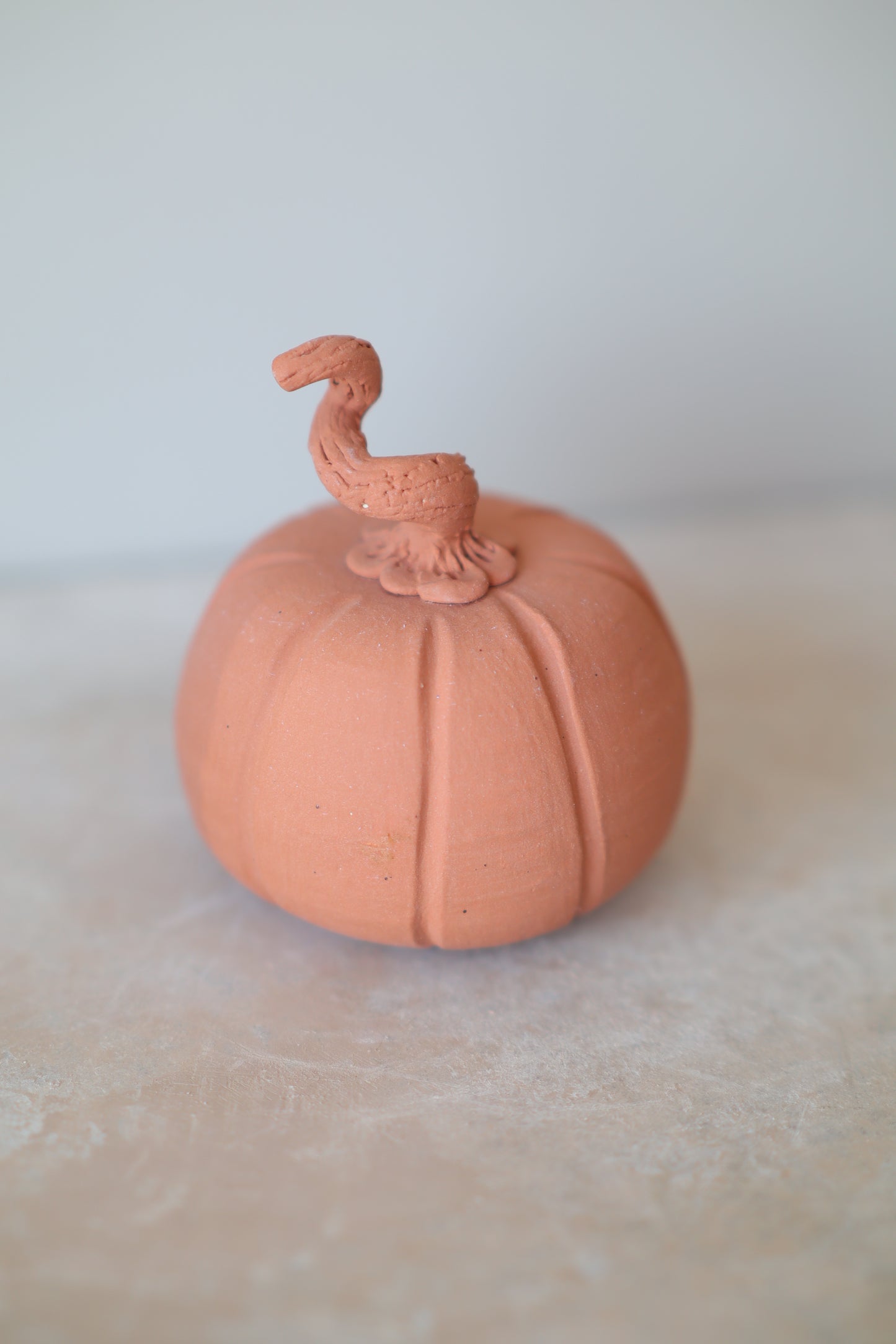 Mini Pumpkin