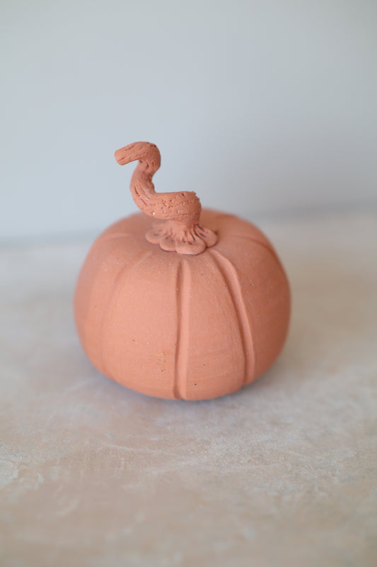 Mini Pumpkin