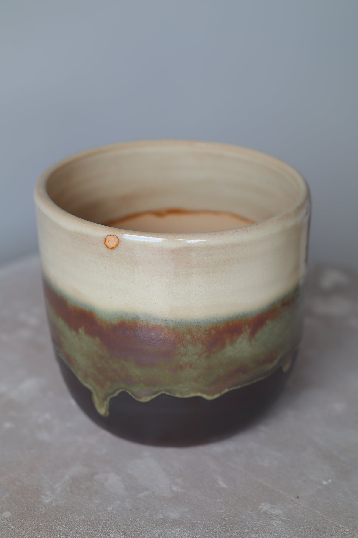 Plant Pot