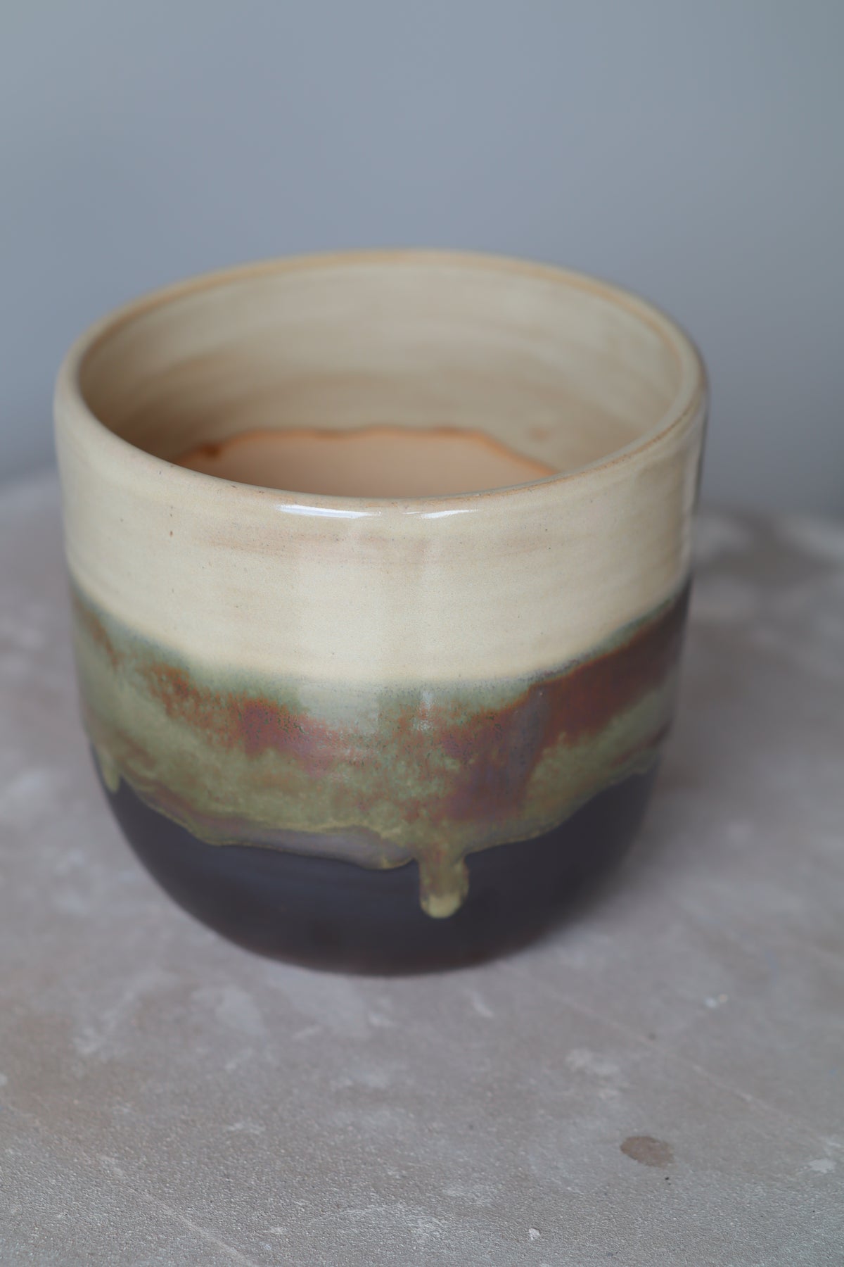 Plant Pot